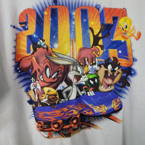 Vintage Y2K Looney Tunes Warner Brothers Crewneck Sweatshirt XL Rollercoaster - Picture 3 of 6